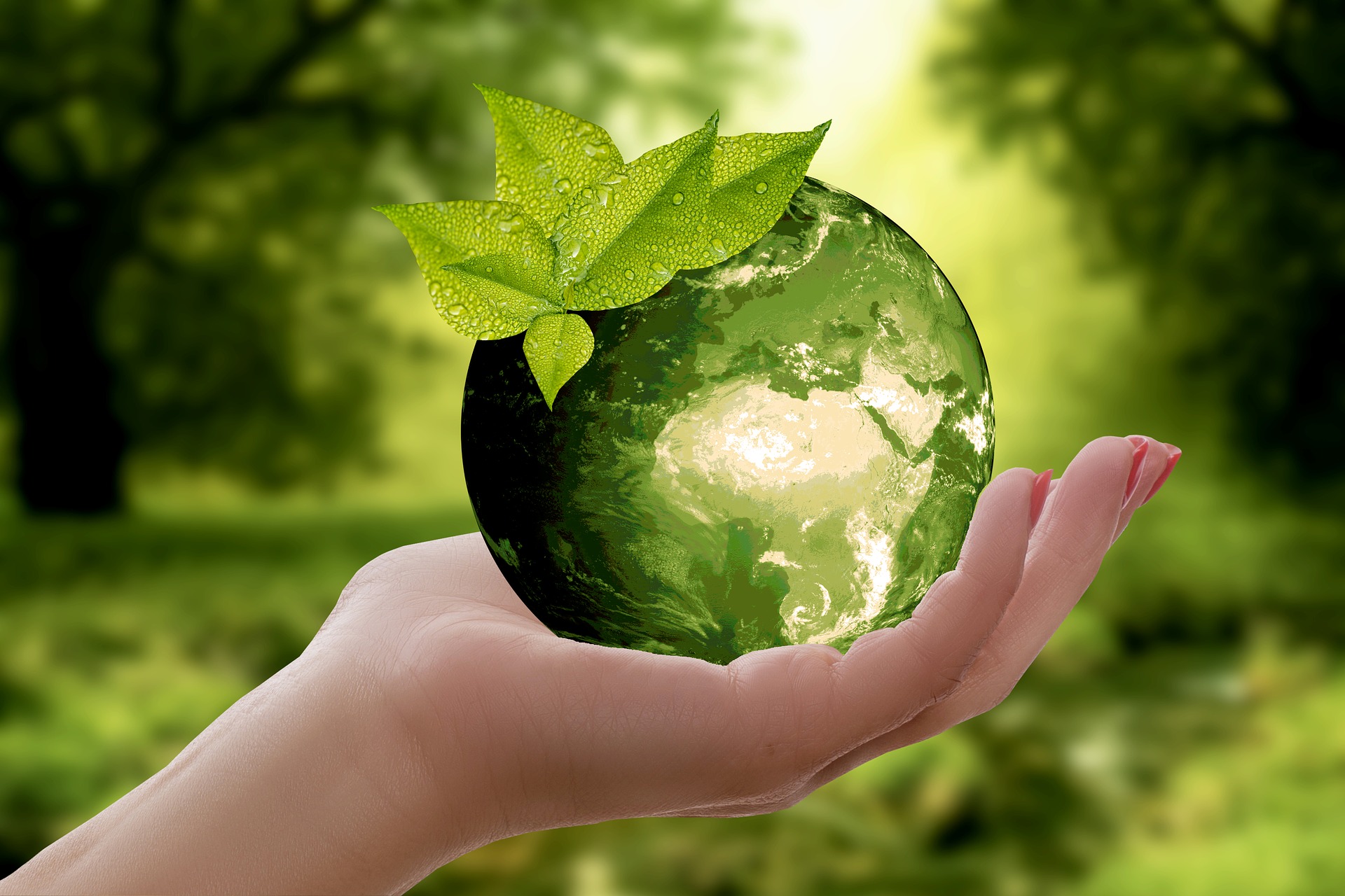 Экология, охрана окружающей среды и экологическая безопасность